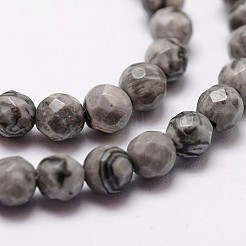 Natural Map Stone/Picasso Stone/Picasso Jasper Beads Strands&nbsp;X-G-D840-35-4mm