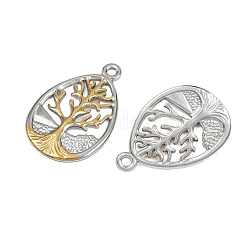304 Stainless Steel Pendants&nbsp;STAS-L290-49GP