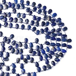Natural Lapis Lazuli Beads Strands&nbsp;G-L654-K04-01