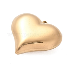 304 Stainless Steel Pendants&nbsp;LS-STAS-Q349-02C-G