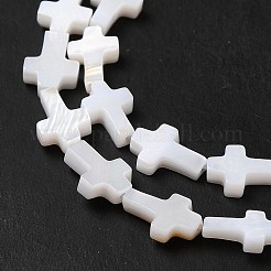 Natural Freshwater Shell Beads Strands&nbsp;X-BSHE-E026-18