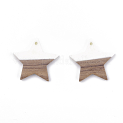 Resin & Walnut Wood Pendants&nbsp;RESI-T023-23B