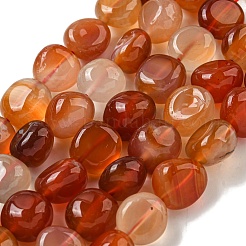 Natural Brazil Red Agate Beads Strands&nbsp;G-L599-A01-02