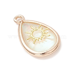 Natural Paua Shell Teardrop Pendants&nbsp;PALLOY-JF03762-03