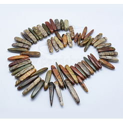Natural Picasso Stone/Picasso Jasper Beads Strands&nbsp;G-G683-20