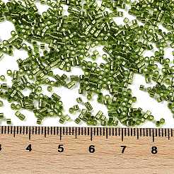 Baking Paint Silver Lined Glass Seed Beads&nbsp;SEED-H003-09D