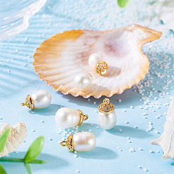 6Pcs Natural Cultured Freshwater Pearl Pendants&nbsp;PALLOY-TAC0174