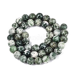 Natural Green Spot Jasper Beads Strands&nbsp;G-Q601-13A-07