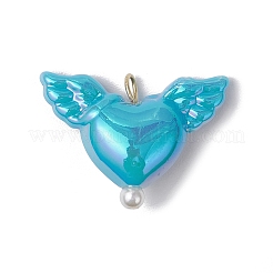 Acrylic Heart & Wings Charms&nbsp;PALLOY-JF03639