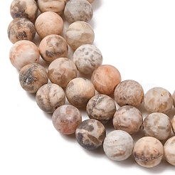 Natural Feldspar Bead Strands&nbsp;G-P295-06-8mm