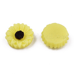Opaque Resin Cabochons&nbsp;CRES-S307-005B