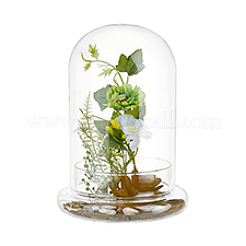 Glass Dome Cover&nbsp;DJEW-WH0099-06C