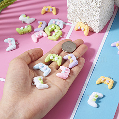 24Pcs 6 Colors Opaque Resin Pendants&nbsp;RESI-TA0003-34