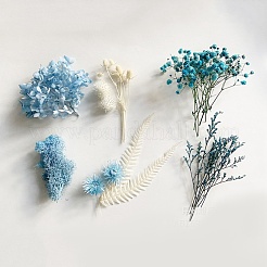 Dried Flower Material Package&nbsp;DIY-WH0257-04