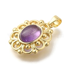 Natural Amethyst Pendants&nbsp;G-K381-01G-10