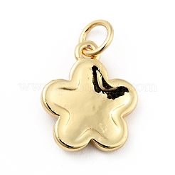 Rack Plating Brass Enamel Charms&nbsp;KK-G387-09G