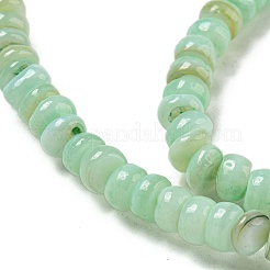 Dyed Natural Freshwater Shell Beads Strands&nbsp;X1-BSHE-G039-07E