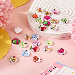 24Pcs 12 Style Glass Cabochon&nbsp;GLAA-TA0001-71