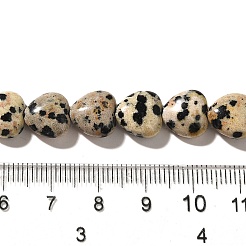 Natural Dalmatian Jasper Beads Strands&nbsp;G-R190-10mm-63