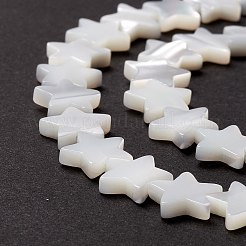 Natural Trochid Shell/Trochus Shell Beads&nbsp;SSHEL-O001-25C-02