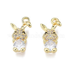 Brass Pave Clear Cubic Zirconia Charms&nbsp;KK-N231-334