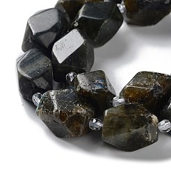 Natural Larvikite Beads Strands&nbsp;G-C182-17-02