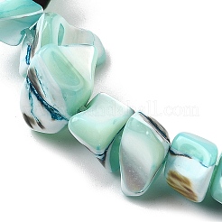 Natural Trochid Shell/Trochus Shell Beads Strands&nbsp;SHEL-B003-02K