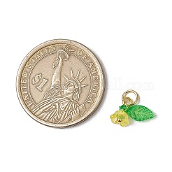 36Pcs Frosted Acrylic Flower & Leaf Charms&nbsp;PALLOY-JF03552