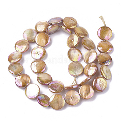 Freshwater Shell Beads Strands&nbsp;SHEL-S274-52C