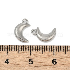304 Stainless Steel Charms&nbsp;STAS-E500-02P