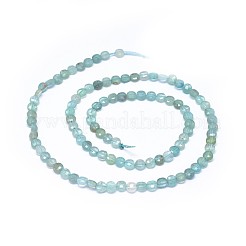 Natural Apatite Beads Strands&nbsp;G-I249-A09
