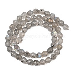 Natural Labradorite Beads Strands&nbsp;G-O176-04B