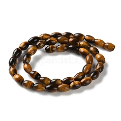 Natural Tiger Eye Beads Strands&nbsp;G-B135-A01-01