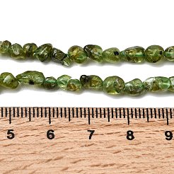 Natural Peridot Beads Strands&nbsp;G-P601-A01-01