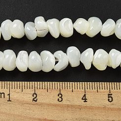 Natural Trochus Shell Beads Strands&nbsp;BSHE-G039-01B