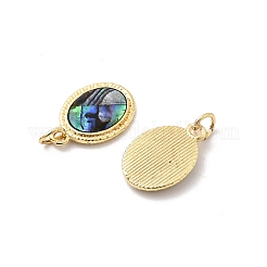 Epoxy Resin & Natural Paua Shell Oval Pendants&nbsp;KK-K384-20B-G