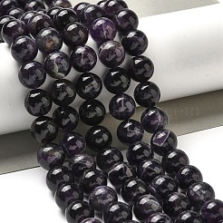 Natural Amethyst Beads Strands&nbsp;G-L595-C02-04