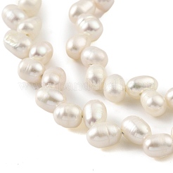 Natural Cultured Freshwater Pearl Beads Strands&nbsp;PEAR-A006-22-X