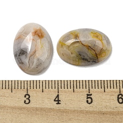 Natural Crazy Agate Cabochons&nbsp;X-G-C115-01A-33