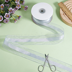 Polyester Ribbon&nbsp;OCOR-WH20013-005C