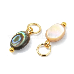 Natural Paua Shell Pendants&nbsp;PALLOY-JF05290-01