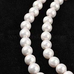 Shell Bead Strands&nbsp;X-BSHE-R146-6mm-02