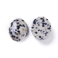 Natural Dalmatian Jasper Cabochons&nbsp;G-L511-C-02