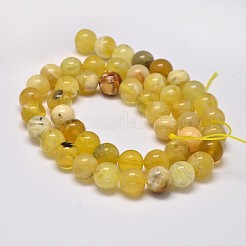 Natural Yellow Opal Round Bead Strands&nbsp;G-M296-02-6mm