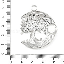 304 Stainless Steel Pendants&nbsp;SA-CBAC5D6-03P