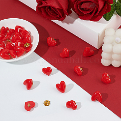 24Pcs 2 Styles Resin Pins&nbsp;JEWB-ME0001-31