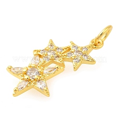 Rack Plating Brass Micro Pave Cubic Zirconia Charms&nbsp;KK-S396-36G