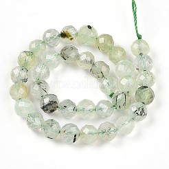 Natural Prehnite Beads Strands&nbsp;G-S345-6mm-28