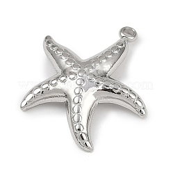 304 Stainless Steel Pendants&nbsp;STAS-B092-05A-P