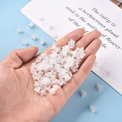 Transparent Acrylic Beads&nbsp;PL554